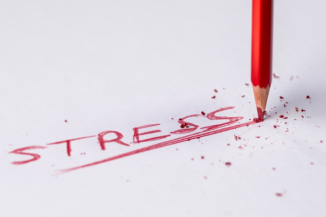 Santé mentale bien être au travail neurosciences cognitives QVCT RSE CSE
espace plaisir spa plaisir petit déjeuner équilibré repas équilibré bienveillance bonne humeur gestion du stress reconversion france travail professionnelle faire le point pôle emploi, projet professionnel évolution professionnelle reconversion parcours professionnel la formation professionnelle demandeurs d emploi fongecif reconversion professionnelle situation professionnelle professionnalisation formation professionnelle changer de métier individuel de formation congé individuel reconvertir marché de l emploi aptitudes mobilité professionnelle orientation professionnelle réorientation recherche d emploi demandeur d emploi parcours de formation activité professionnelle secteur d activité faire une reconversion créer des compétences envies professionnelles suivre une formation projet de formation congé individuel de formation employabilité carrières carrière professionnelle burn out dépression depression stress vie pro vie privée patron toxique aide bilan de compétences nantes ou visio, 